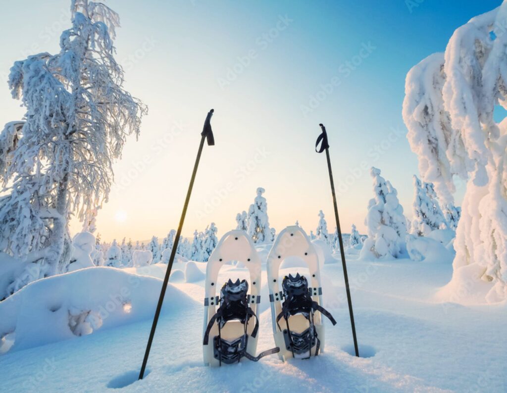 Snowshoeing tour to pure arctic wilderness