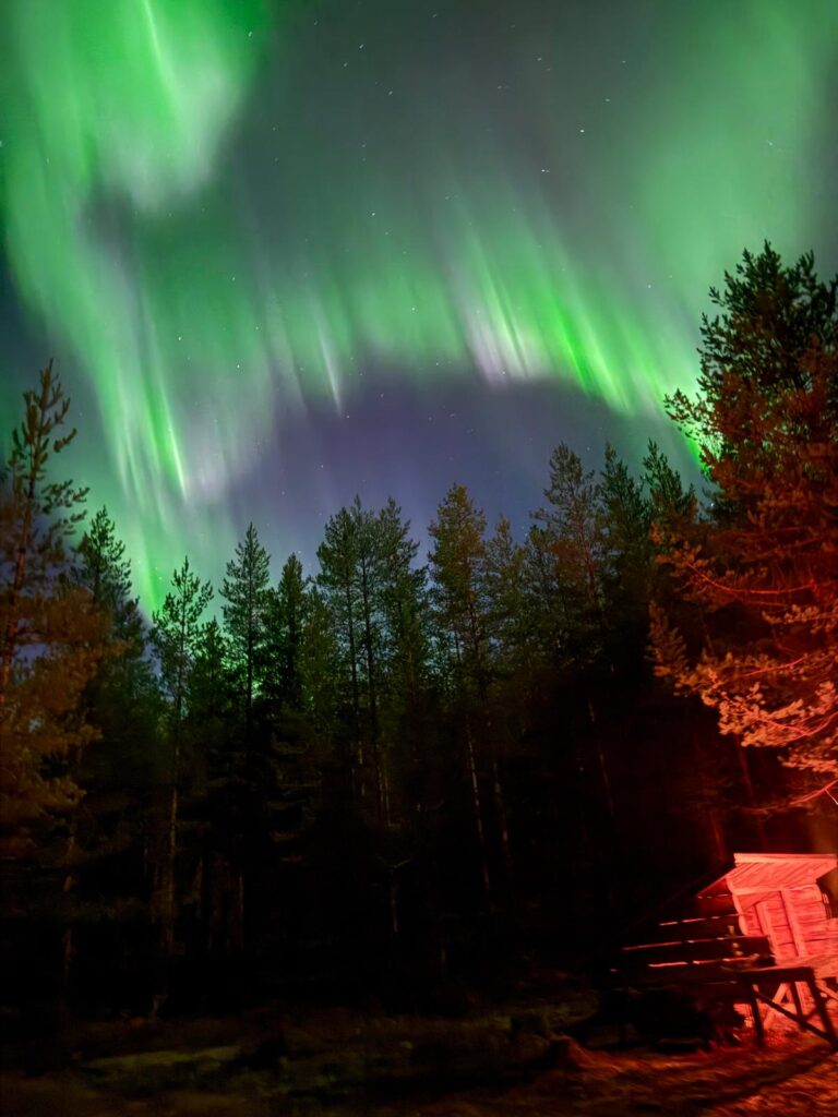 Northern lights tour to Arctic Wilderness
