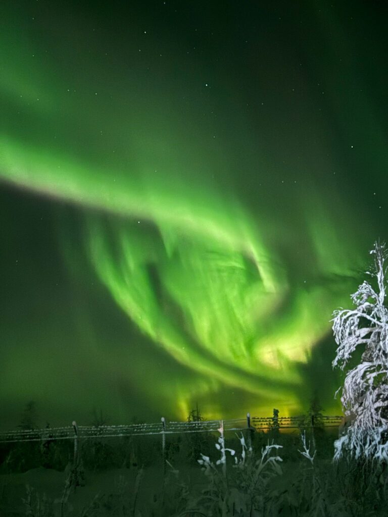 Private northern lights tour